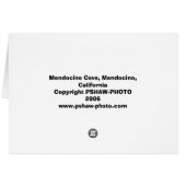 Mendocino Cove Cards (Back Horizontal)