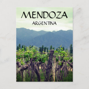 mendoza argentina vines postcard