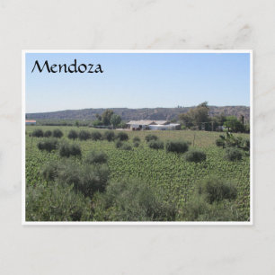 mendoza winery green postcard