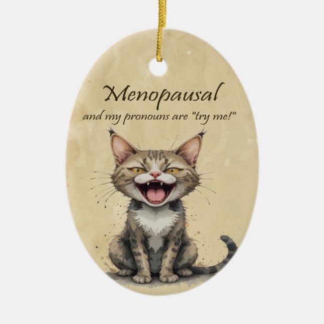 Menopause Humor Stressed Angry Cat Ceramic Ornament (Front)