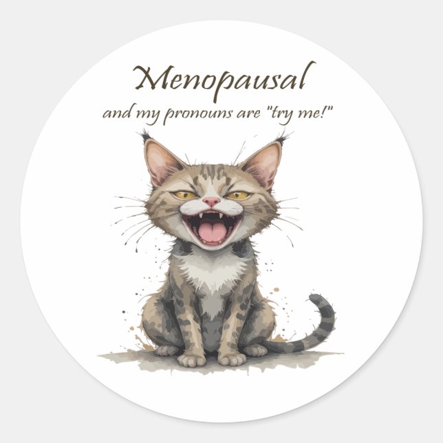 Menopause Humor Stressed Angry Cat Classic Round Sticker (Front)