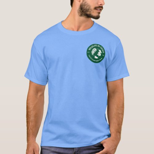 Mens American Apparel T_shirt