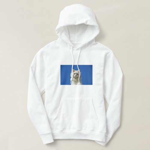 Mens Basic Hooded Sweatshirt