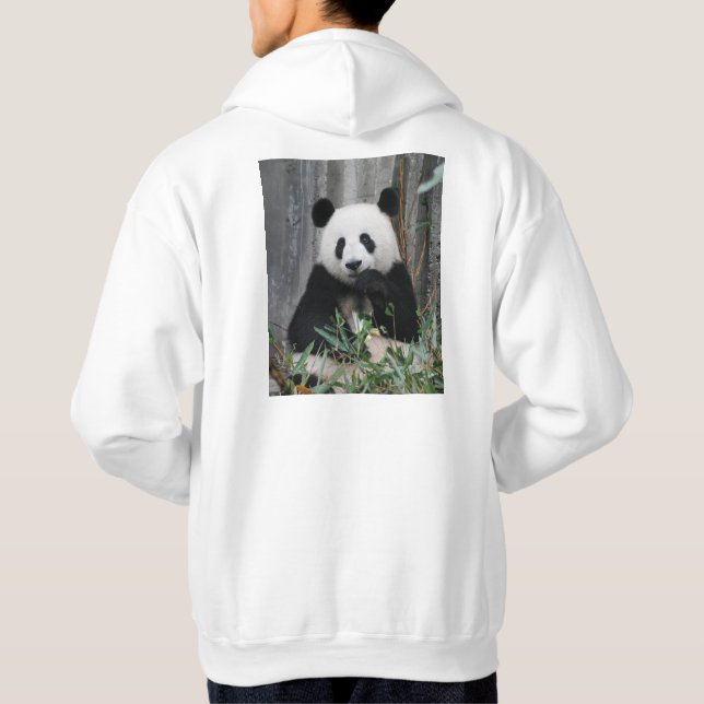 Men's Basic Hooded Sweatshirt (Back)