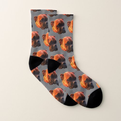 Mens Boxer Dog Photo Custom Socks