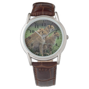 Mens Classic Watch/Wildlife Cheetah's Watch