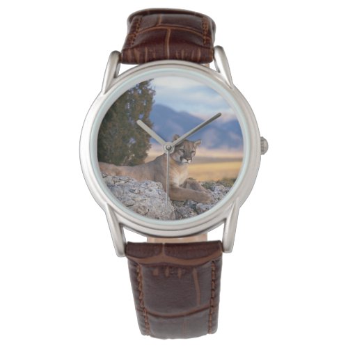 Mens Classic WatchWildlife Mountain Lion Watch