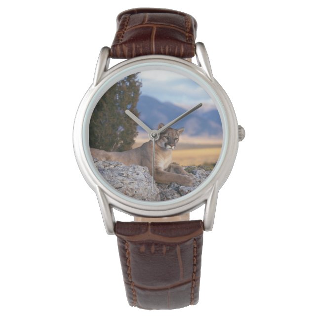 Mens Classic Watch/Wildlife Mountain Lion Watch (Front)