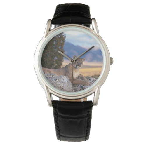 Mens Classic WatchWildlife Mountain Lion Watch