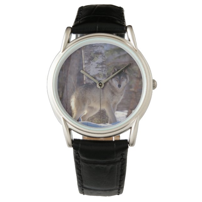 Mens Classic Watch/Wildlife Wolf Watch (Front)