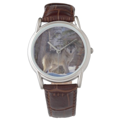 Mens Classic WatchWildlife Wolf Watch