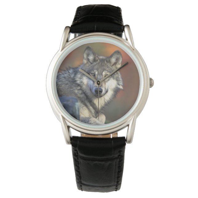 Mens Classic Watch/Wildlife Wolf Watch (Front)