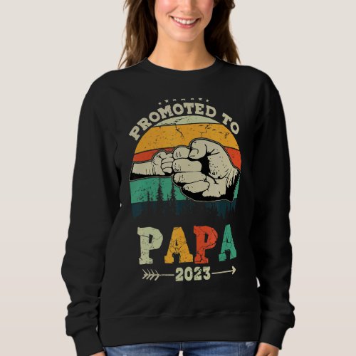 Mens First Time Papa Promoted To Papa 2023 Sweatshirt