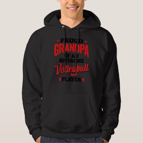 Mens Funny Volleyball Lover Graphic Grandpas And M Hoodie