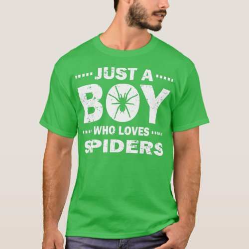 Mens Just A Boy Who Loves Spiders Distressed Vinta T_Shirt