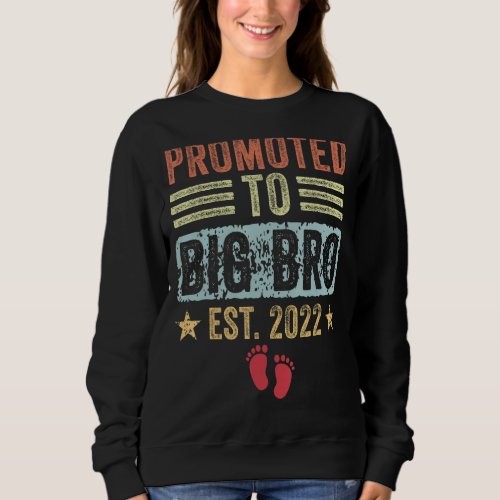 Mens Promoted To Big Bro 2022  Retro Vintage For B Sweatshirt