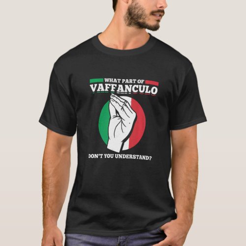 Mens What Part Of Vaffanculo Dont You Understand I T_Shirt