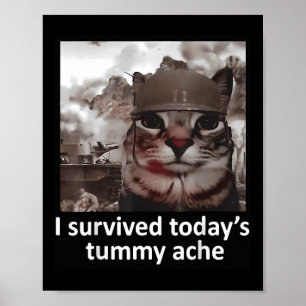 Mens Womens I Survived Today's Tummy Ache Groovy F Poster