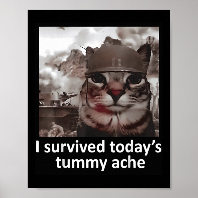 Mens Womens I Survived Today's Tummy Ache Groovy F Poster (Front)