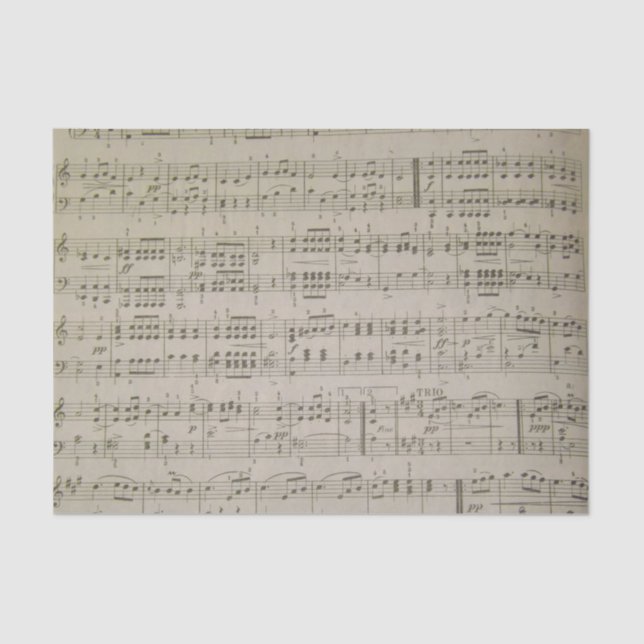 Menuetto Tissue Paper (Front)