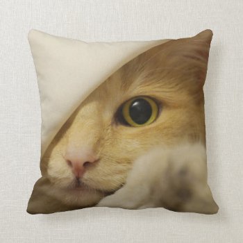 Meow! Cat Playing Peekabo-pillow Throw Pillow by RMJJournals at Zazzle