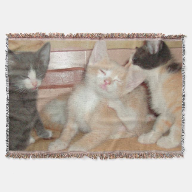 Meow Cats 10 Throw Blanket (Front)