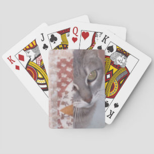 Meow Cats 13 Playing Cards
