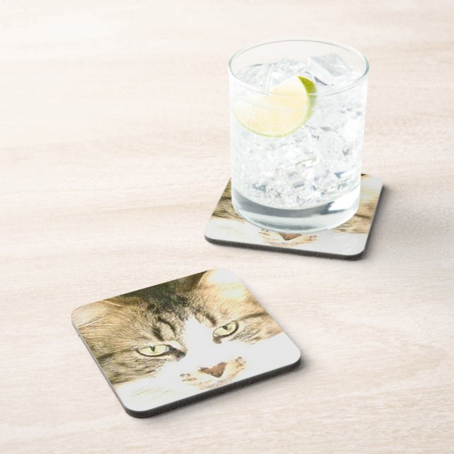 Meow Cats 14 Coaster Set (Right Side)