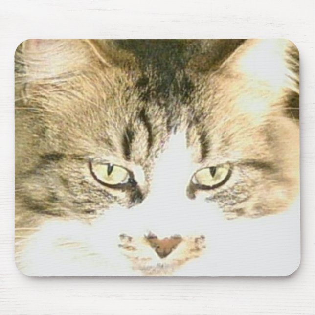 Meow Cats 14 Mousepad (Front)