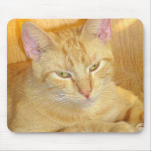 Meow Cats 15 Mousepad