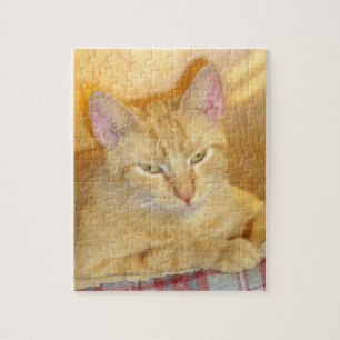Meow Cats 15 Puzzle