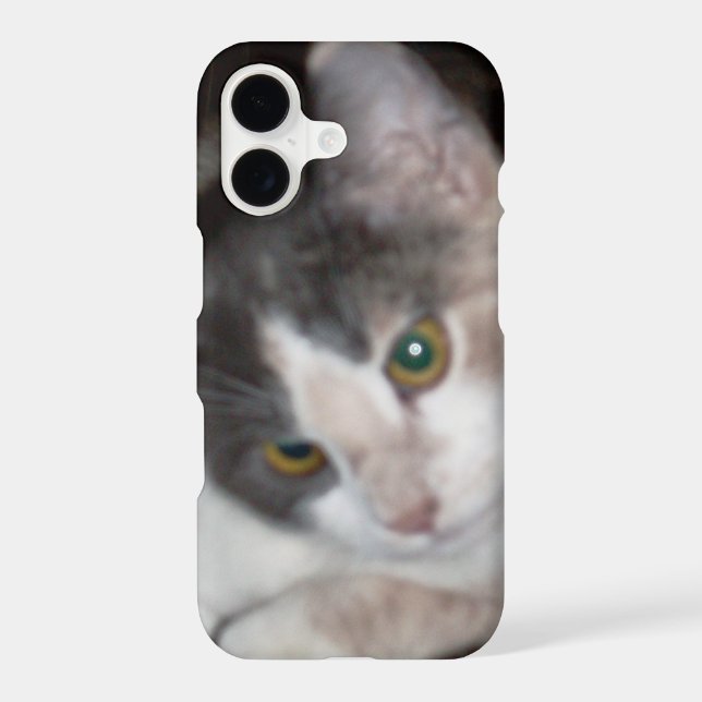 Meow Cats 17 iPhone Cases (Back)