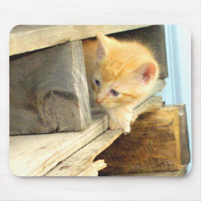Meow Cats 1 MousePad (Front)