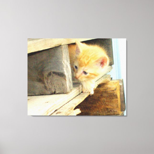 Meow Cats 1 Wrapped Canvas Print (Front)