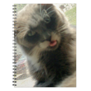 Meow Cats 2 Notebook