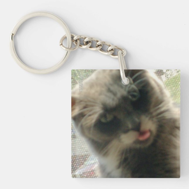 Meow Cats 2 Square Acrylic Keychain (Front)