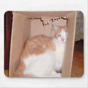 Meow Cats 31 Mousepad