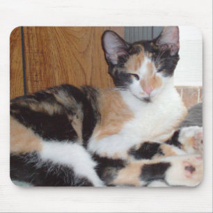 Meow Cats 39 Mousepad