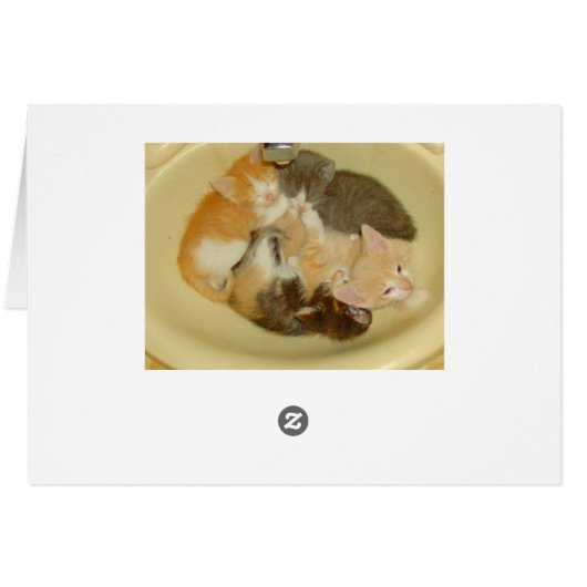 Meow Cats 4 (Back Horizontal)