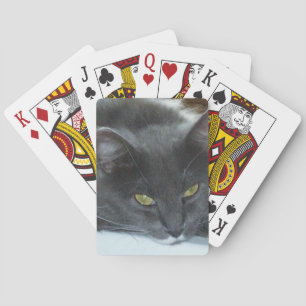 Meow Cats 8 Playing Cards