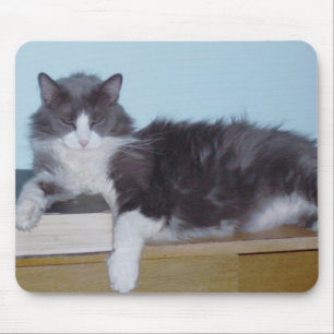 Meow Cats 9 Mousepad