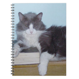 Meow Cats 9 Notebook