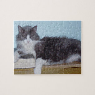 Meow Cats 9 Puzzle