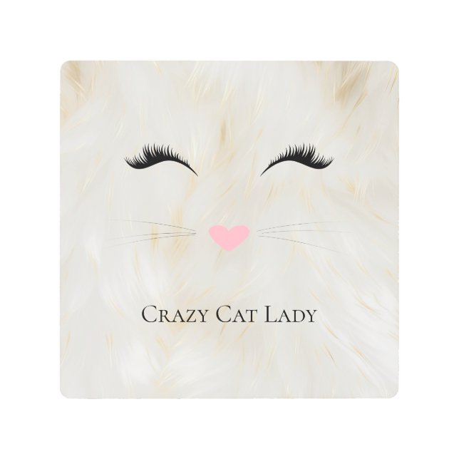 Meow Crazy Cat Lady Metal Print (Front)