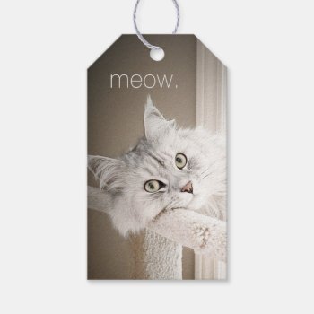 Meow Gift Tags by Siberianmom at Zazzle