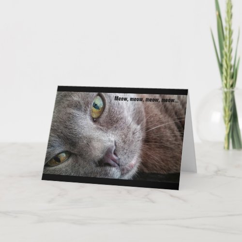 Meow Kitty Cat Birthday Card