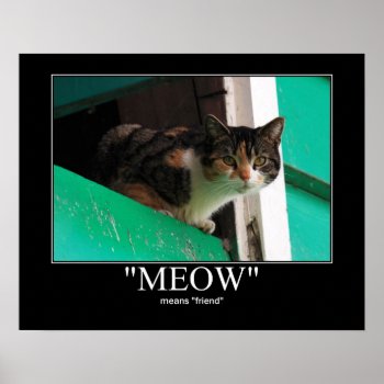 Meow Means Friend Cat Artwork Poster by artisticcats at Zazzle