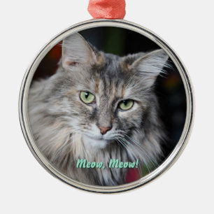 Meow Meow Cat Portrait Metal Ornament
