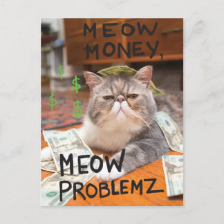 Meow Money, Meow Problemz Postcard