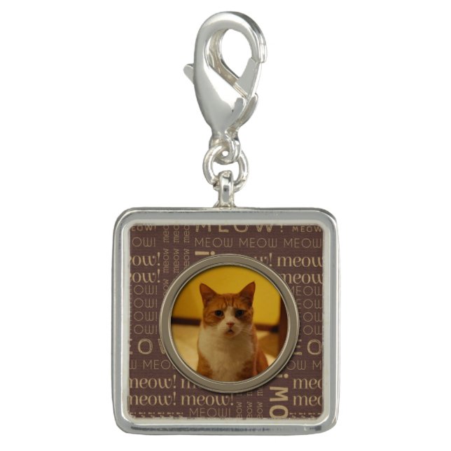 Meow Pattern Brown Add Your Own Cat Photo Charm (Front)